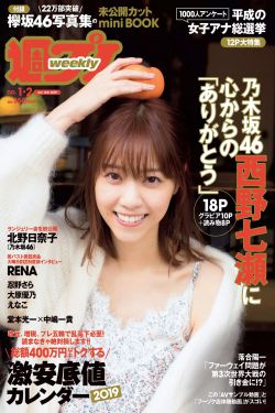 全知读者视角